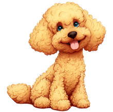 breed1_dog: poodle