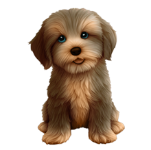 breed1_dog: terrier